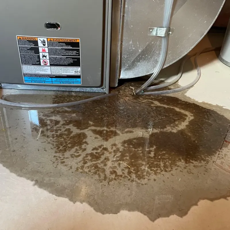 Appliance Leak Cleanup in Prineville, OR